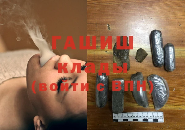 прущие грибы Вязники