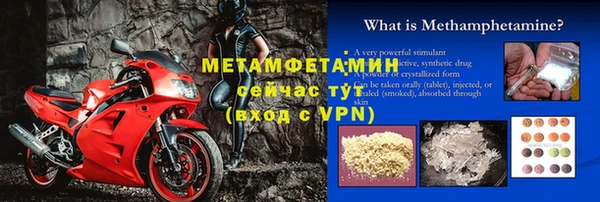 прущие грибы Вязники