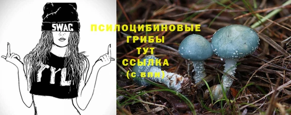mdpv Михайлов