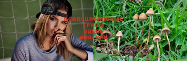 прущие крисы Анива