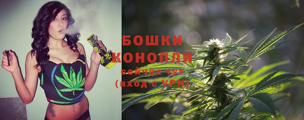 спайс Мегион