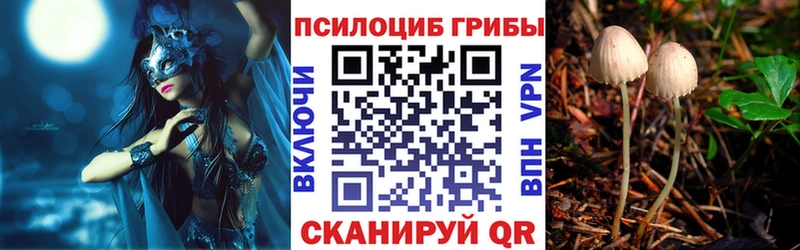 Псилоцибиновые грибы MAGIC MUSHROOMS Заволжск