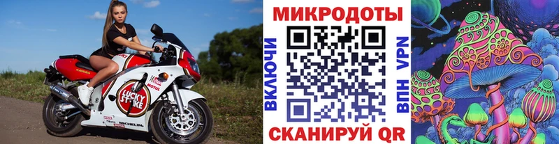 Псилоцибиновые грибы GOLDEN TEACHER  закладки  Заволжск 